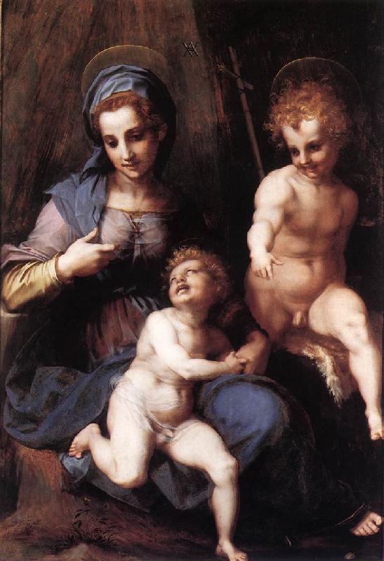 Andrea del Sarto Madonna and Child with the Young St John Sweden oil painting art
